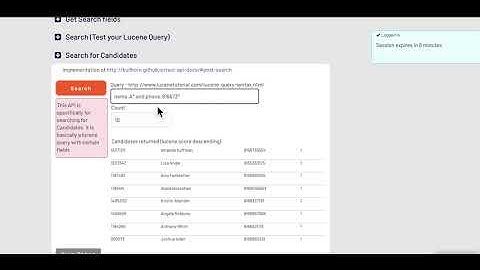 How to search for candidates using Lucene queries.