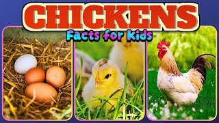 Fun FACTS About Chickens You Never Knew 🐓 | Facts for Kids