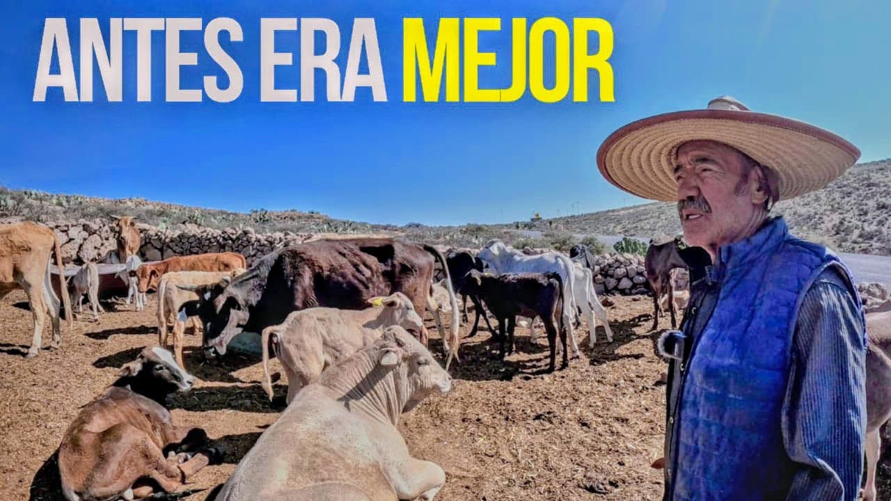 YO  SIEMBRO 5 HECTÁREAS y Le Doy de Comer a 50 ANIMALES