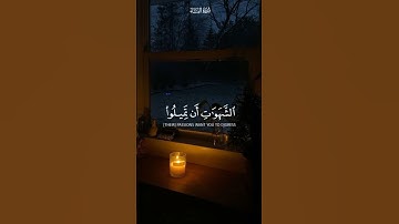 أعظم آيات ممكن تسمعها بصوت الشيخ | ياسر الدوسري 🤍
