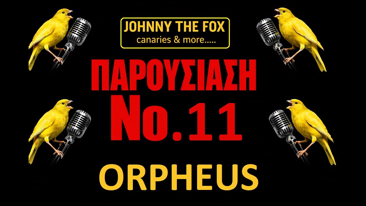 ORPHEUS CANARY ΠΑΡΟΥΣΙΑΣΗ Νο 11