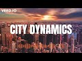 City Dynamics