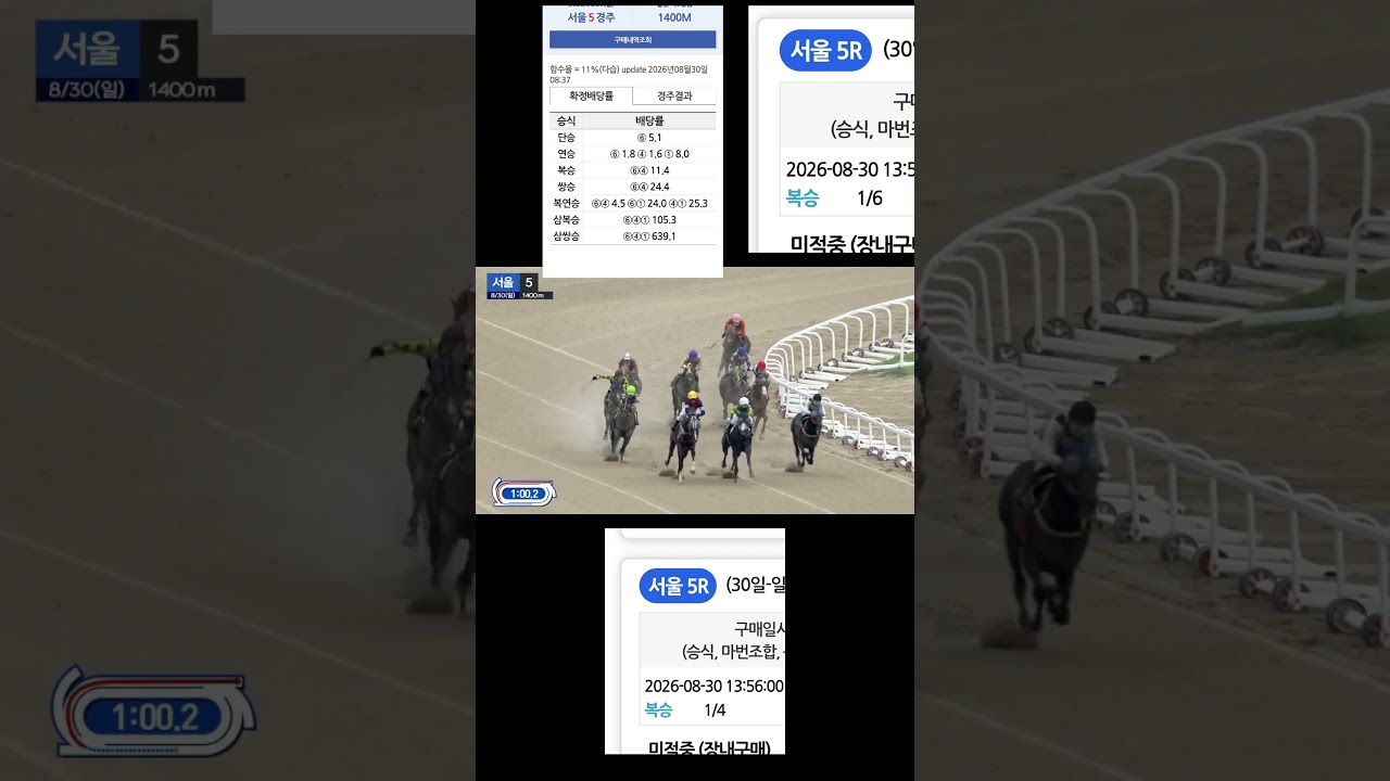 4번 니가왜거기서나오냐