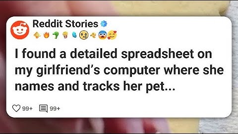 I found a detailed spreadsheet on my girlfriend’s computer where she names and tracks her #reddit 