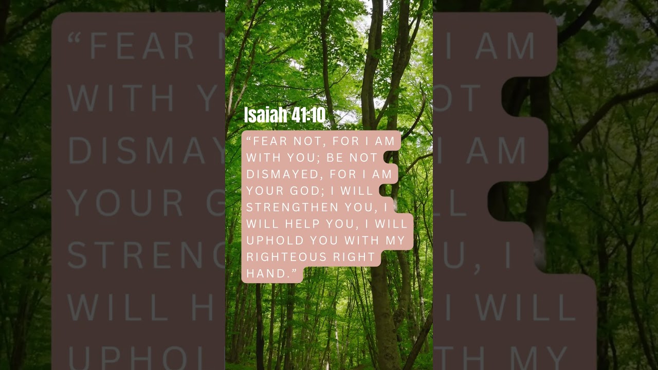 Isaiah 4110 