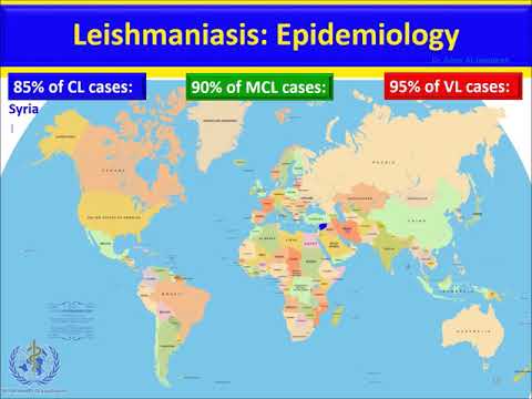 Video: Leishmania Braziliensis: životný Cyklus, Príznaky A Liečba