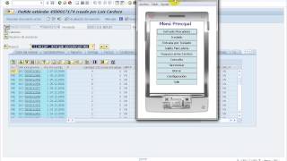 Integración Windows Mobile 6.5 con SAP screenshot 3
