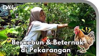 Download Lagu Kebun Impian! Hadirkan Suasana Desa di Kota MP3 Download Lagu Kebun Impian! Hadirkan Suasana Desa di Kota MP3