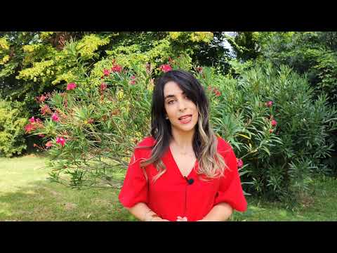 رضوان شکارچی معرفی 2023