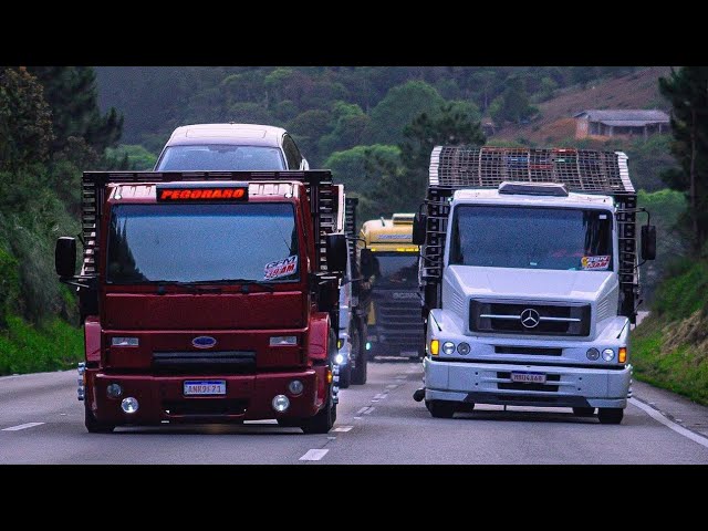 JNR Logística - Cliente RodoJr tem um caminhão de vantagens! É transporte  com qualidade, eficiência e segurança. Seja um documento ou uma carga  fechada, na Rodo Jr, você conhece e confia! Ligue