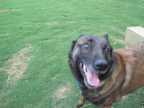 abmc-rescue's-valerie