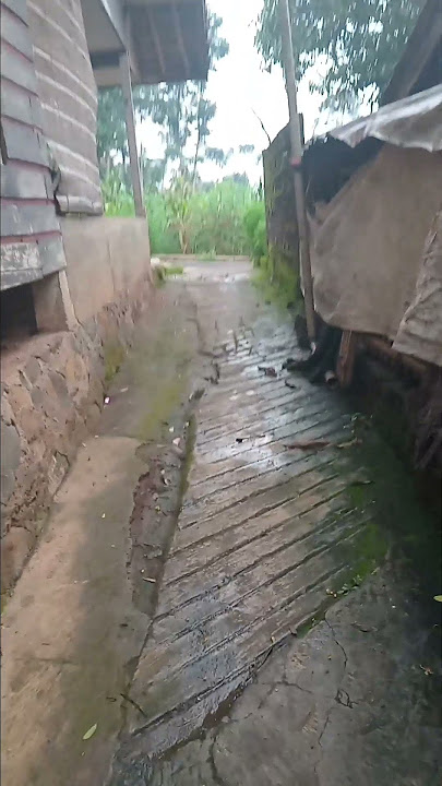 sampurasun baraya.suasana lembursimkuring