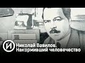 Николай Вавилов. Накормивший человечество. Документальный фильм @История