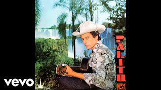 Palito Ortega - Vive Tu Vida (Official Audio)
