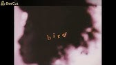 Bird 空の瞳 Sora No Hitomi Youtube Bird 空の瞳 Sora No Hitomi Youtube