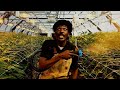 Capture de la vidéo Anthony B - Weed Baby (Official Music Video)