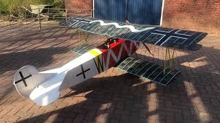 My 1/3rd scale Fokker D-VII in Jasta-46 colors