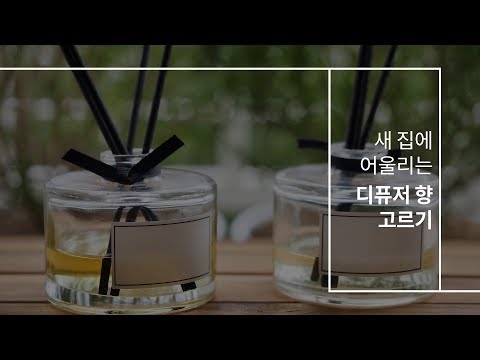 프리미엄이사