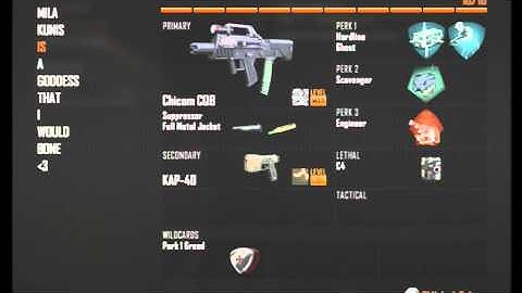 Best Class Setups For A Swarm! - Black Ops 2