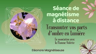 🫶 Transmuter vos parts d'ombre en Lumière - En association avec la Flamme Violette