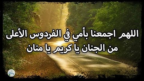 سورة فاطر من الآية ١١ إلى الآية ٢٠