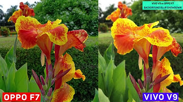 Vivo V9 vs Oppo F7 Background Blur - Portrait Mode - Bokeh Effect Comparison