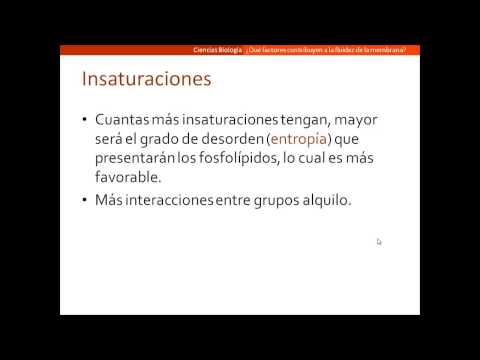 Vídeo: El ph afecta la fluïdesa de la membrana?