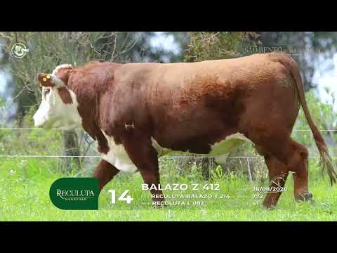 Lote 14 - RECULUTA BALAZO Z 412