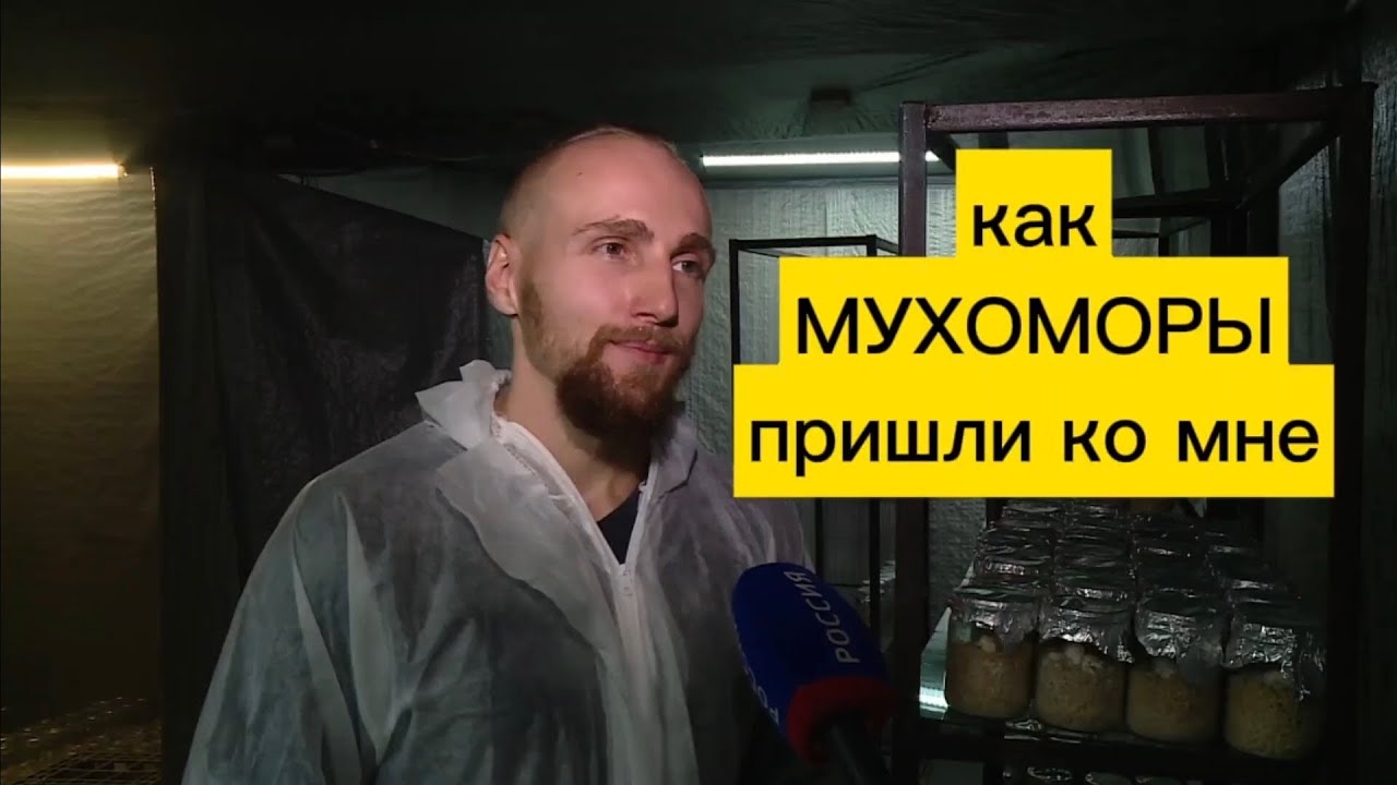 Как #мухоморы вошли в мою жизнь? Интервью на ТВ. Как побороть стресс ...