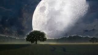 Super Blue Moon in August 2023: A Celestial Spectacle Not to Be Missed!