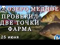 🌟ОЗЕРО МЕДНОЕ🌟ПРОВЕРИЛ ДВЕ ТОЧКИ...820/870 СЕРЫ ЗА ЧАС🌟Русская Рыбалка 4(РР4)🌟