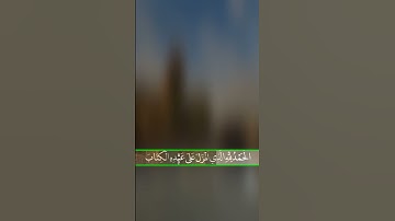 حالات واتساب دينية   ( آيات من الذكر الحكيم)