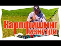 Ловля карпа на Дикаре!