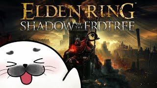 マップ探索とNPCイベント【 ELDEN RING 】#07