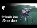 क्या हो अगर एलियन जीवन सिलिकॉन पर आधारित हो | What If Alien Life Was Silicon Based?