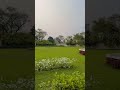 #nature #greenlove #naturelovers #peacefulmoments #viralshorts #amantidellanatura #mondoverde