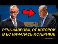 ПРАВДИВАЯ РЕЧЬ ЛАВРОВА! ЕВРОПА В ПОЛНОЙ Ж*ПЕ!