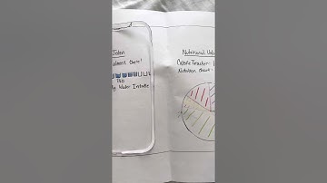 CSCE 190 Paper Prototype