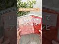 \冷凍いちごシート🍓/