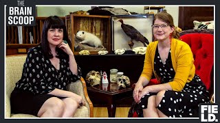 What should museums do with their dead? (w/ Caitlin Doughty!) by thebrainscoop 220,817 views 4 years ago 24 minutes