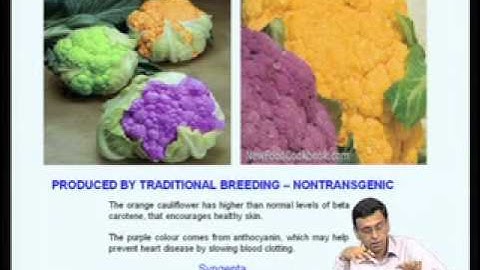 Mod-09 Lec-36 Transgenic plants