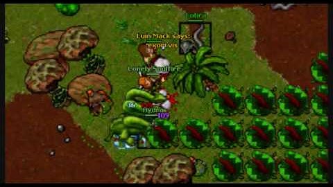 Tibia Hydra Island, [WATCH HIGH QUALITY]