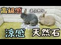 うさぎの涼感グッズ!涼感 天然石で暑い夏を快適に過ごそう!