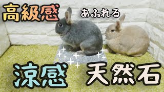 うさぎの涼感グッズ!涼感 天然石で暑い夏を快適に過ごそう!