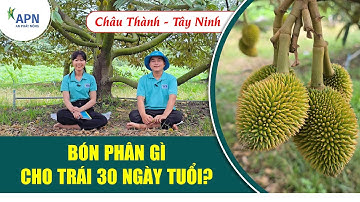 APN - BÓN PHÂN GÌ CHO TRÁI 30 NGÀY TUỔI?