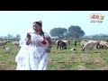 गौर से देखा बदल गईल स्टाइल है दैया दिल ना पकडे वाले हाथ में मोबाइल ए दहिया