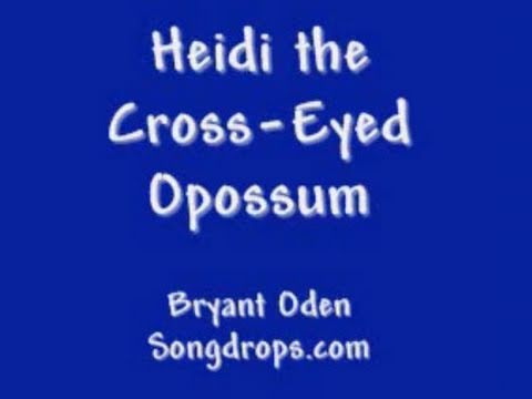 Heidi the Cross-Eyed Opossum : A Songdrops Song by...