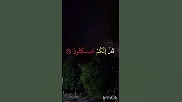 محمد اللحيدان سورة الزخرف #محمداللحيدان #المصحف #قرآن