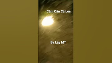 @ Ba Lầy MT # Cắm Câu Cá Lóc