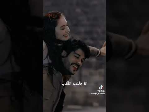 عشق موتي صرت تعلقت بيك